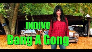 Bang A Gong Get It On  INDIVO [upl. by Webb815]