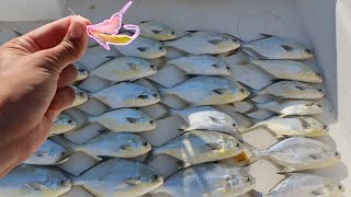 WEIRD Looking Lure Catches Hundreds Of Fish Goofy Jig Pompano Fishing [upl. by Andel]