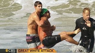 Great white shark attack California swimmer survives bite [upl. by Gerrard257]