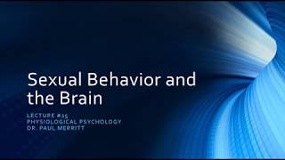 Sexual Behavior and the Brain [upl. by Ellehcem146]