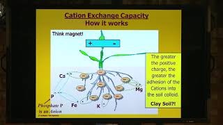 How Cation Exchange Capacity works [upl. by Haseena200]