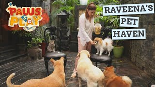 PAWS amp PLAY Raveena Tandon  Injured Animals  Rescue amp Recovery [upl. by Addia]