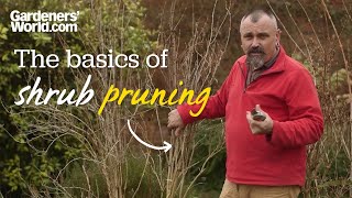 The basics of shrub pruning [upl. by Magnien]