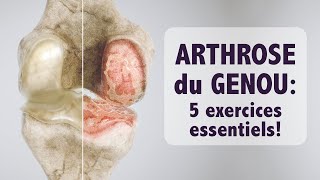 Arthrose du genou 5 exercices ESSENTIELS [upl. by Solnit]