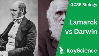 Lamarck vs Darwin  Biology GCSE  kaysciencecom [upl. by Ynaffital]