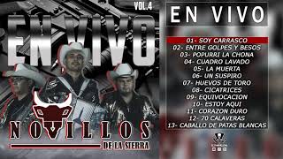 Novillos de la Sierra  En Vivo Vol4  2021 DISCO COMPLETO [upl. by Eiramacissej]