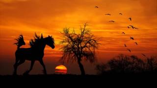 Horse walking The relaxing sound of horses hooves 1 hour 30 minutes [upl. by Ramed]