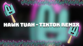 Hawk Tuah  TikTok REMIX [upl. by Codel]