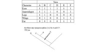 Cladogram Exercise by Hamid Razifard [upl. by Rachaba]