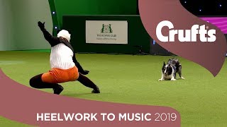 Freestyle International Heelwork to Music  Part 3  Crufts 2019 [upl. by Asiluj]