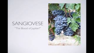 Winecast Sangiovese [upl. by Anierdna]