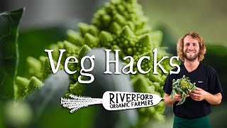 Romanesco Cauliflower  VEG HACKS [upl. by Trebled683]