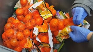 Food waste How much food do supermarkets throw away CBC Marketplace [upl. by Burdett]