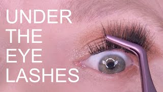 HOW TO APPLY UNDER EYE LASHES [upl. by Euqinoj680]