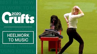 International Freestyle Heelwork To Music  Part 3  Crufts 2020 [upl. by Randell]