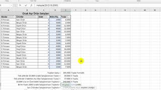 Excel Bir veya Birden Çok Kritere Göre Toplama İşlemi Etopla ve Çoketopla Formülleri [upl. by Chong]