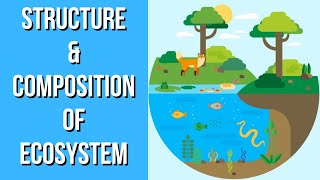 Structure amp Composition of Ecosystem  Environmental Science  EVS  Letstute [upl. by Eiknarf]