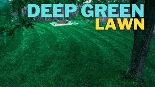 🟢 Make your ugly lawn DARK GREEN in 3 days [upl. by Asnarepse]