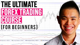 The ULTIMATE Forex Trading Course for Beginners [upl. by Cochran]