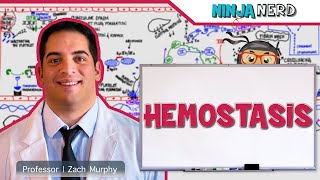 Hematology  Hemostasis Coagulation Cascade [upl. by Dlarrej94]