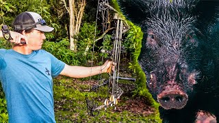 WILD Hawaiian HOG HUNT CATCH CLEAN COOK [upl. by Koressa]