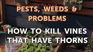 How to Kill Vines That Have Thorns [upl. by Goodyear]