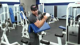 Dumbbell Hammer Curls On The Preacher Curl Bench [upl. by Amora817]