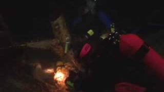 PADI Scuba Diving Lessons PADI Night Diver Course [upl. by Cooke]