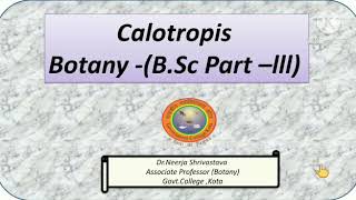 Calotropis BotanyBScPart lll [upl. by Pisano]