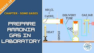 To Prepare Ammonia Gas In Laboratory  NEB Class10 [upl. by Ettenwad]