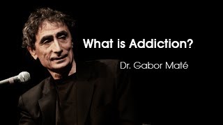 What is Addiction Gabor Maté [upl. by Rramo80]