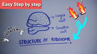 Ribosomes  Structure of Ribosomes  Easy step by step diagram of Ribosomes  Class 9th  Biology [upl. by Lewls]