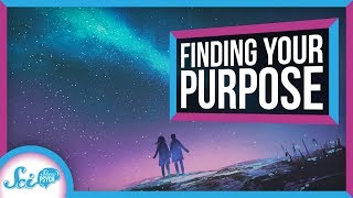 How and Why to Find Your Lifes Purpose [upl. by Darn207]