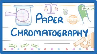 GCSE Chemistry  Paper Chromatography 63 [upl. by Daisie327]