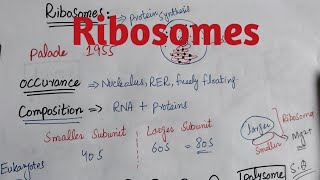 Ribosomes chapter 4 class 11 biology [upl. by Su]