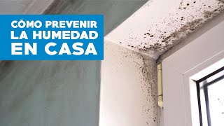 Cómo prevenir la humedad en casa [upl. by Argyres466]