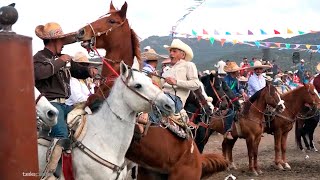 Caballos RAJADOS  Diablos FUERA [upl. by Kielty]