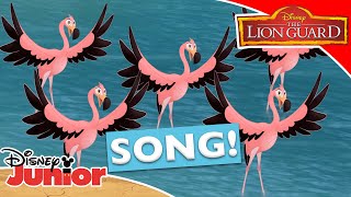 🎵 Go Go Flamingo  The Lion Guard  Disney Kids [upl. by Brawley]