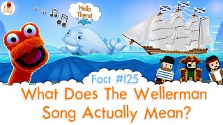 What Does The Wellerman Song Actually Mean  The Fact a Day  125 [upl. by Bussy]