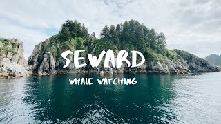 Seward Alaska  Whale Watching Tour [upl. by Novj127]