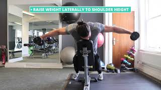 How To Do Dumbbell Lying Rear Lateral Raise  Exercise Demo [upl. by Mazman363]