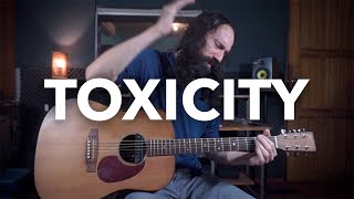 Toxicity  SYSTEM OF A DOWN  Acoustic Guitar Cover [upl. by Olenka466]