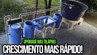 Criação de TILÁPIA em caixa dágua Melhorias do sistema  Chácara SV [upl. by Eirased]