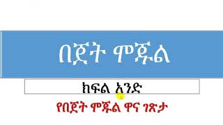 IBEX System 30  አይቤክስ Tutorial PART ONE የኢትዮጵያ መንግስ የፋይናንሻል ሲስተም [upl. by Lieberman]