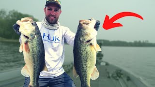 Start FINDING Bass FASTER Than Your Friends Bass Fishing Tips [upl. by Alaehcim]