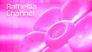 RAFFLESIA CHANNEL [upl. by Lenahtan143]