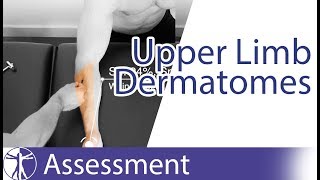 Dermatomes Upper Limb  Peripheral Neurological Examination [upl. by Herbert]