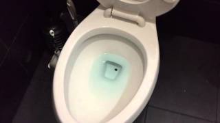 Glacier Bay Dual Flush Toilet [upl. by Suilienroc897]