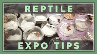 Going to a Reptile Expo Here are 6 things to know [upl. by Housen]