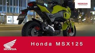 2016 MSX125  125cc Motorcycle  Honda [upl. by Trevor]